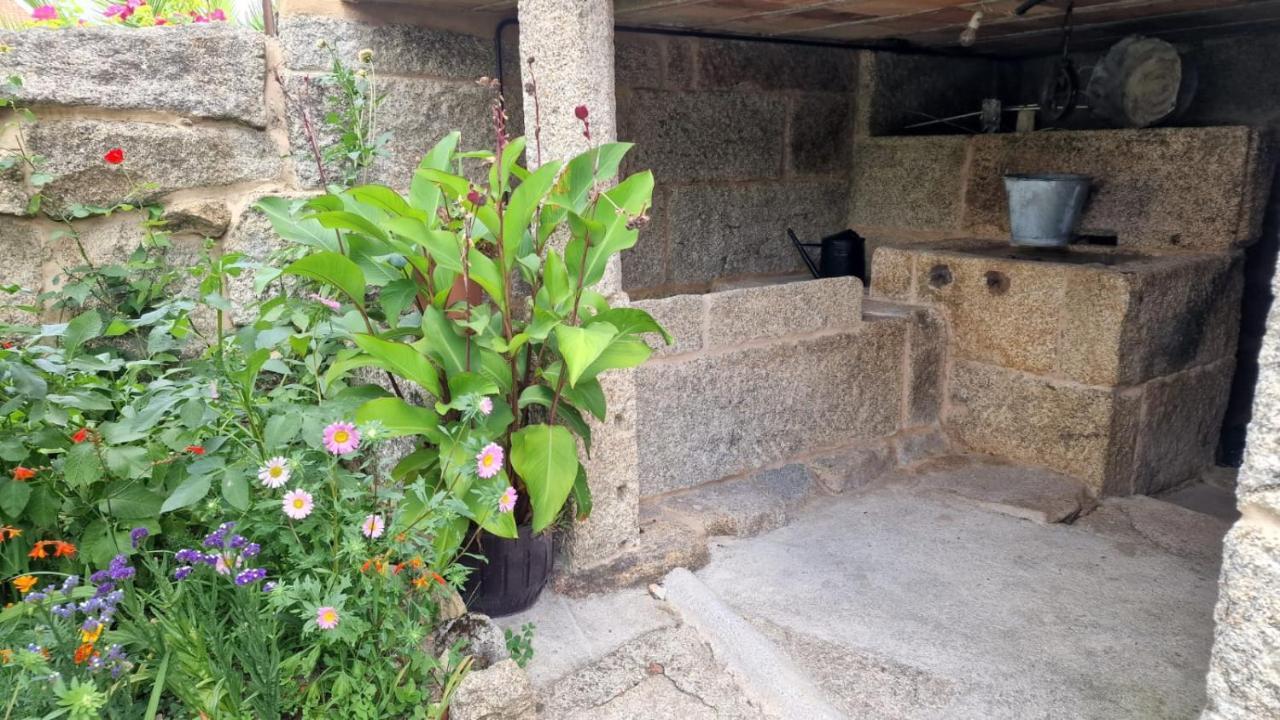 노게이라데라민 Casa Da Penela 빌라 외부 사진
